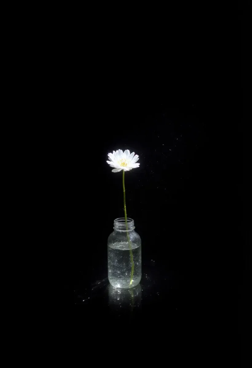 Single luminous daisy — A tiny white daisy in a clear glass bottle against black, subtle sparkles and minimal still-life lighting.