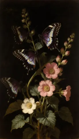 Botanical night study — Pink and white flowers with delicate butterflies on a black background, detailed classical botanical painting.